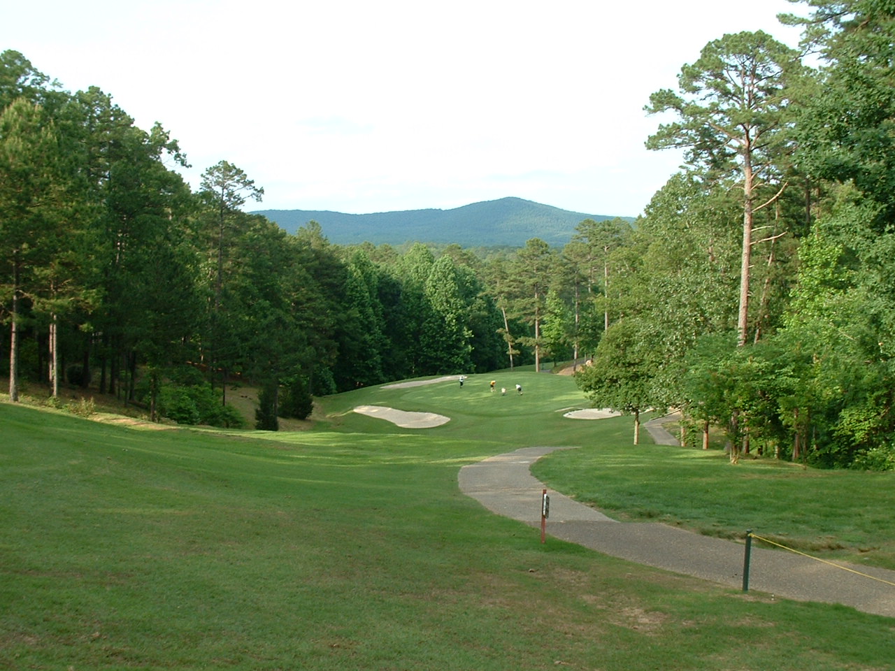 Golf Course Grasses